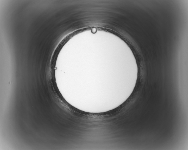 X0000103900924200809261546