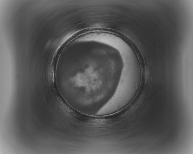 X0000103900925200809261546