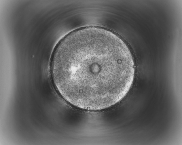 X0000103900928200809261546