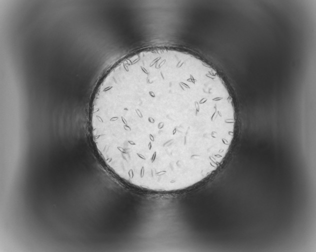 X0000103900930200809261546