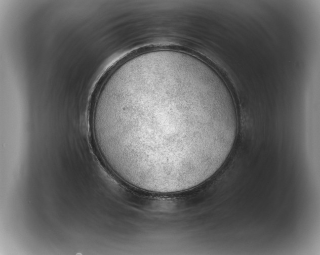 X0000103900935200809261546