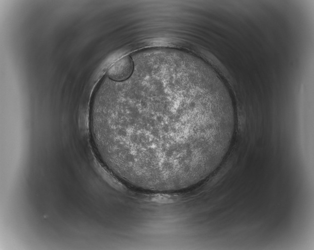 X0000103900938200809261546