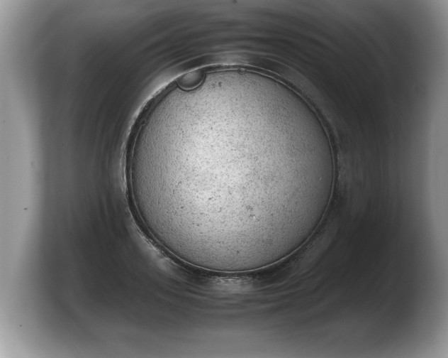 X0000103900939200809261546