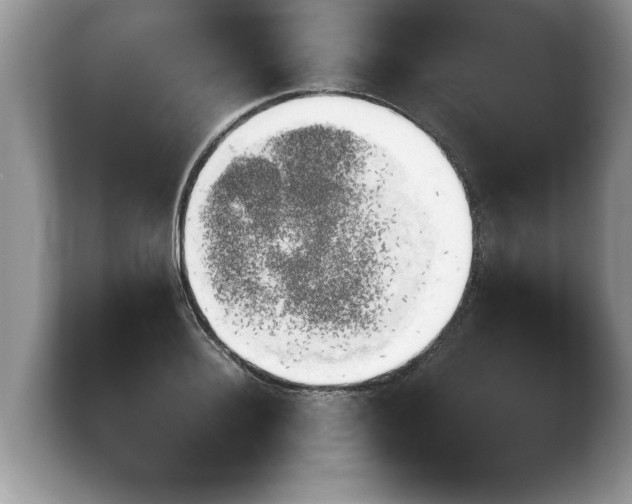 X0000103900940200809261547