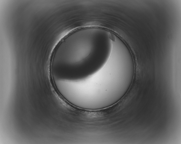 X0000103900941200809261547