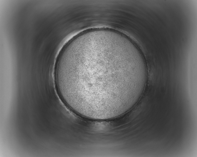 X0000103900943200809261547