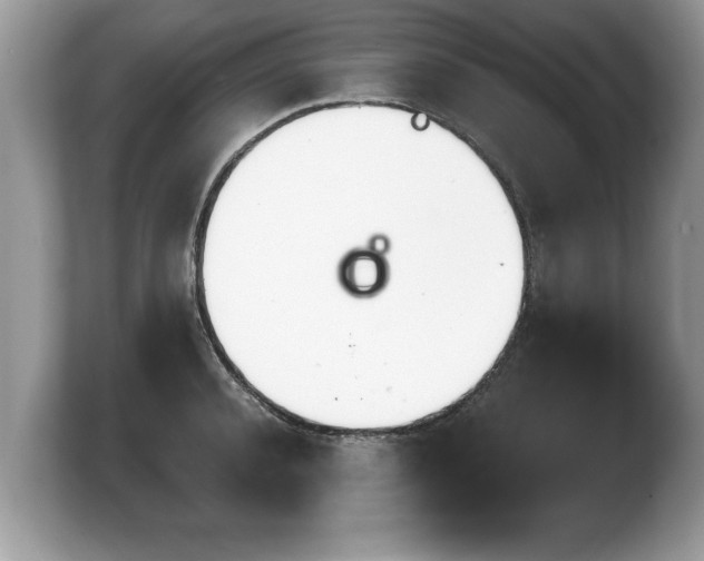 X0000103900944200809261547