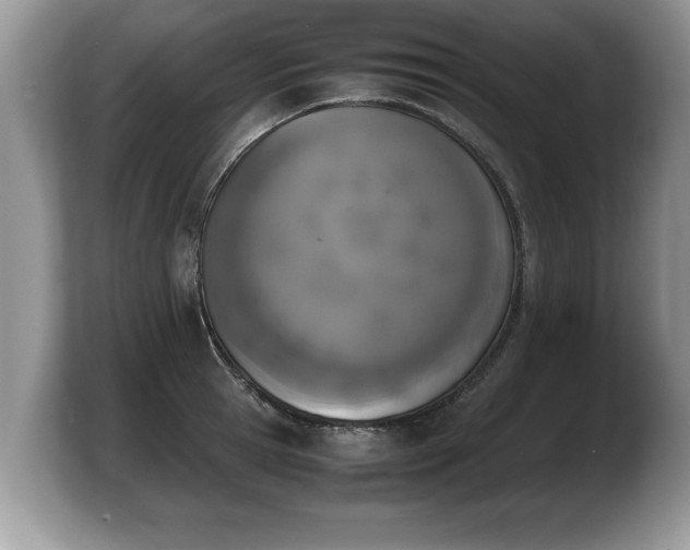 X0000103900945200809261547