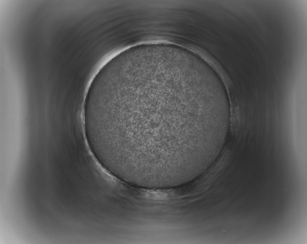 X0000103900951200809261547