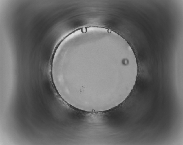 X0000103900952200809261547