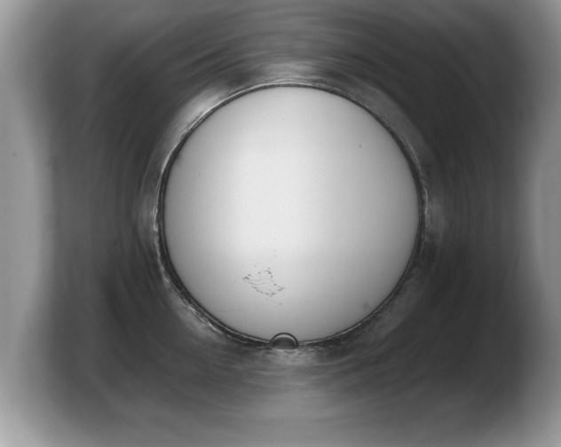 X0000103900954200809261547