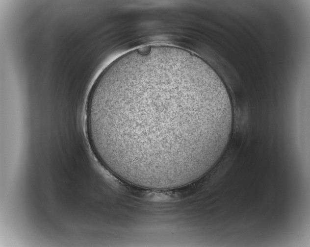 X0000103900955200809261547