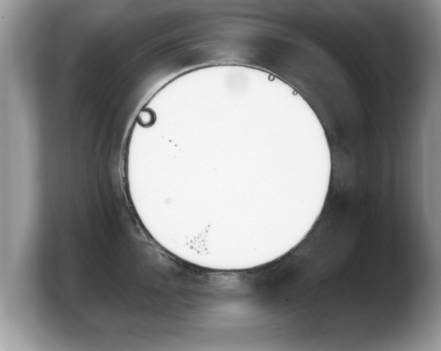 X0000103900956200809261547