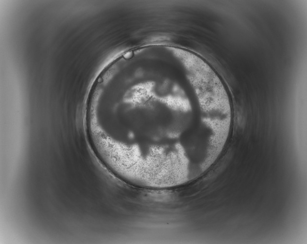X0000103900957200809261547