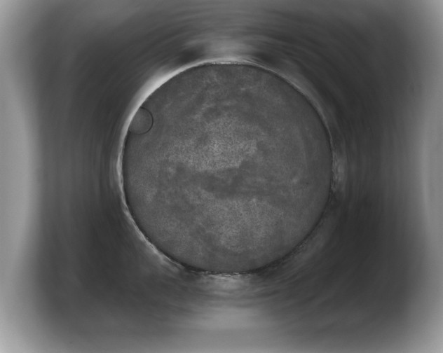 X0000103900959200809261547
