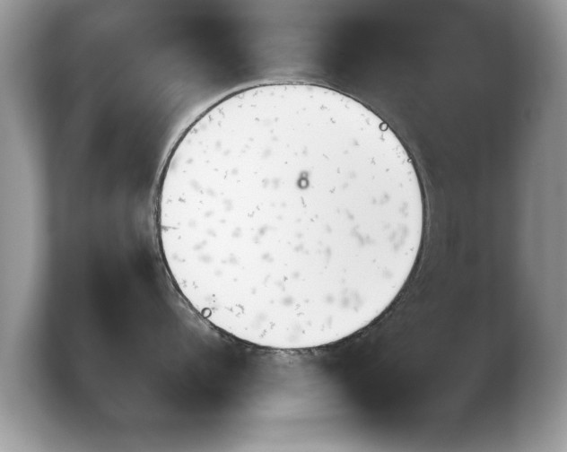 X0000103900960200809261547