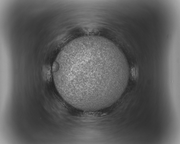 X0000103900963200809261546