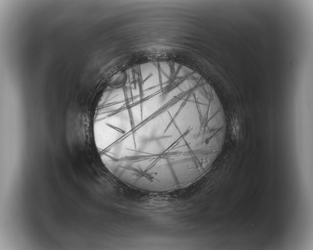 X0000103900964200809261546