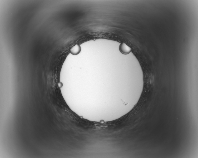 X0000103900965200809261546