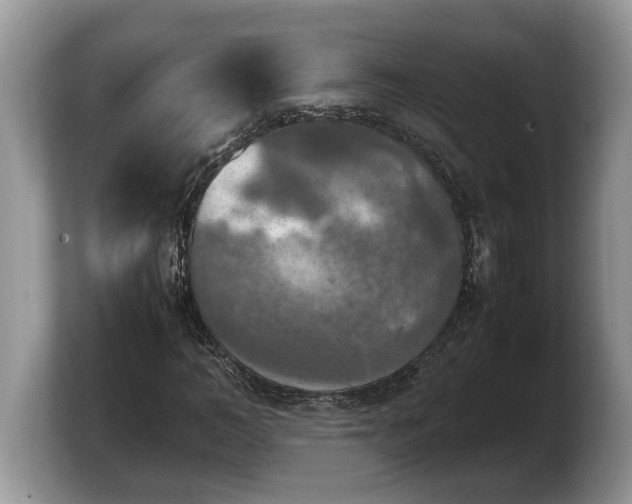 X0000103900966200809261546