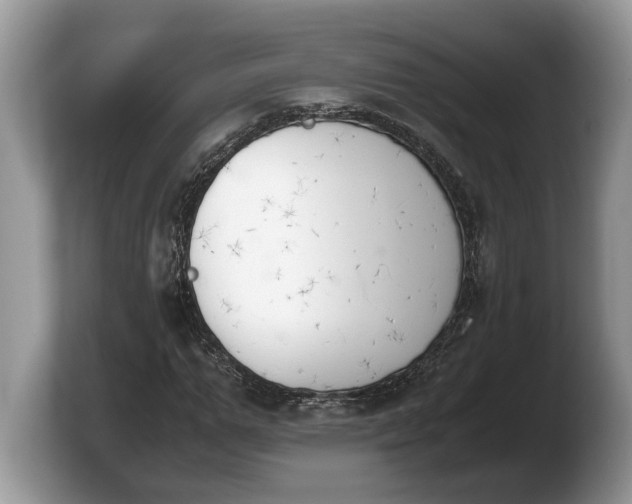 X0000103900967200809261546
