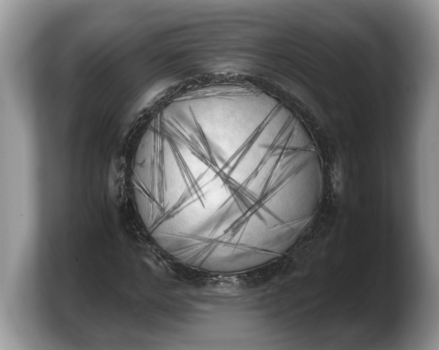 X0000103900968200809261546