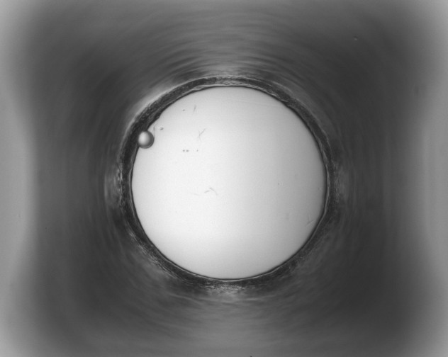 X0000103900971200809261546