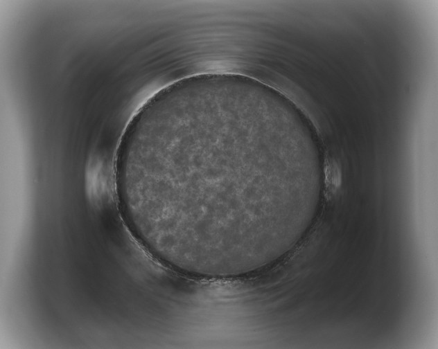 X0000103900972200809261546