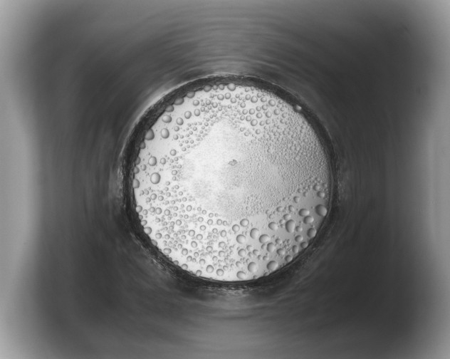 X0000103900975200809261546