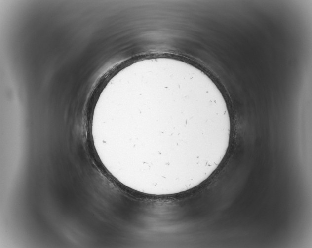 X0000103900979200809261546