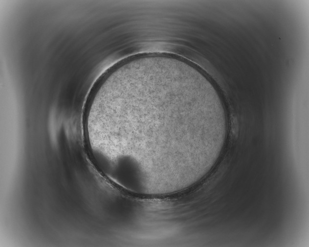 X0000103900980200809261546