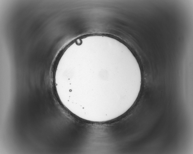X0000103900981200809261546