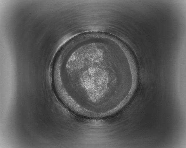 X0000103900983200809261546
