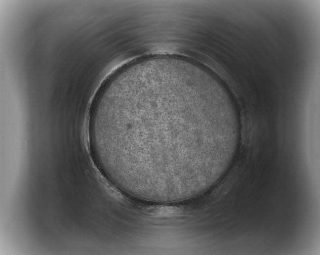 X0000103900984200809261546