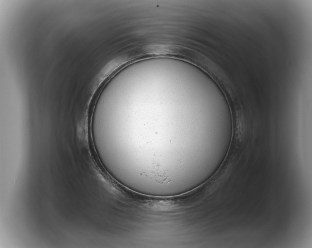 X0000103900986200809261546