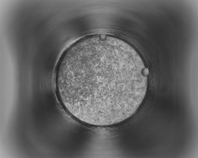 X0000103900987200809261546