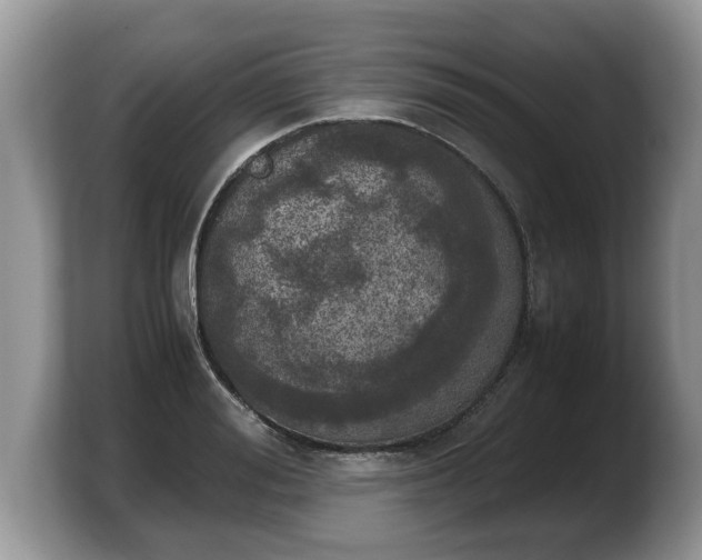 X0000103900988200809261546
