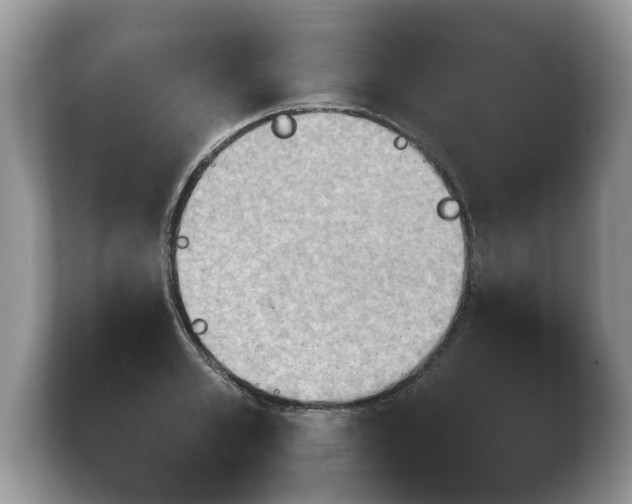 X0000103900989200809261546
