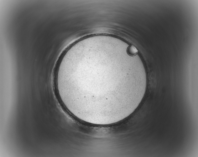 X0000103900991200809261546
