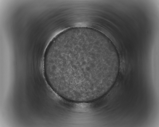 X0000103900992200809261546