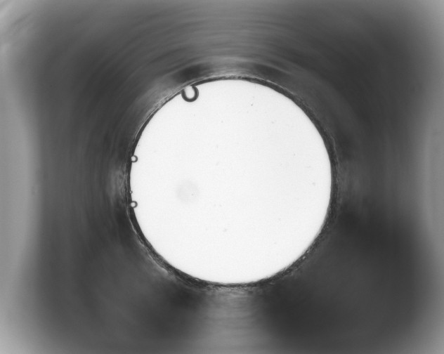 X0000103900993200809261546