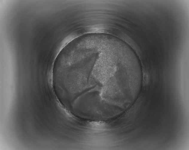 X0000103900994200809261546