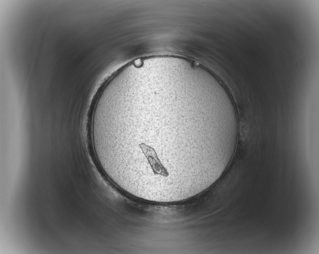 X0000103900995200809261546