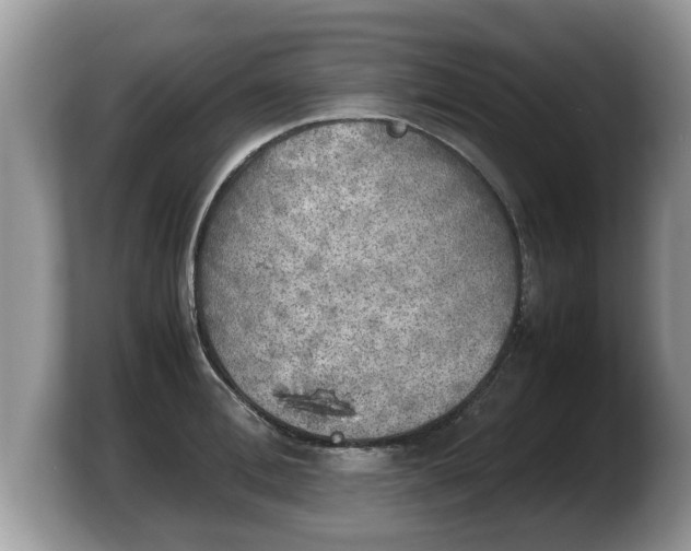 X0000103900996200809261546