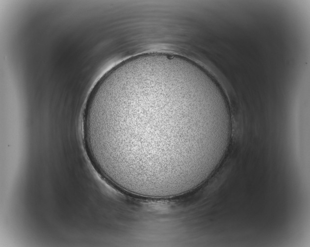 X0000103900999200809261546