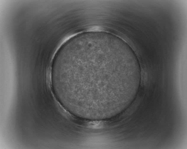 X0000103901000200809261546