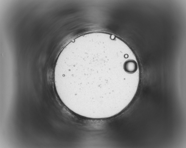 X0000103901001200809261546