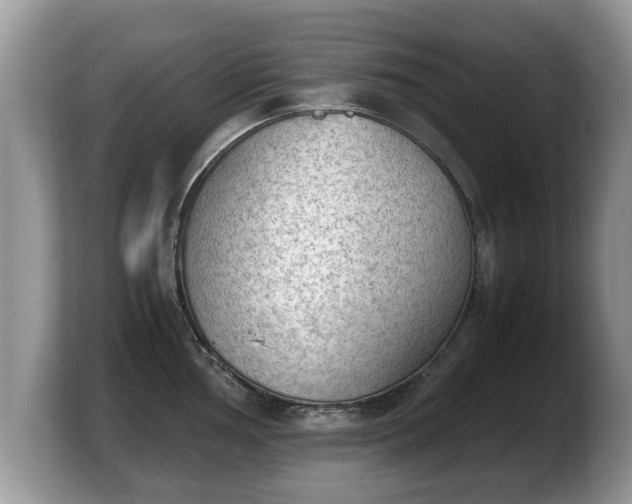 X0000103901002200809261546