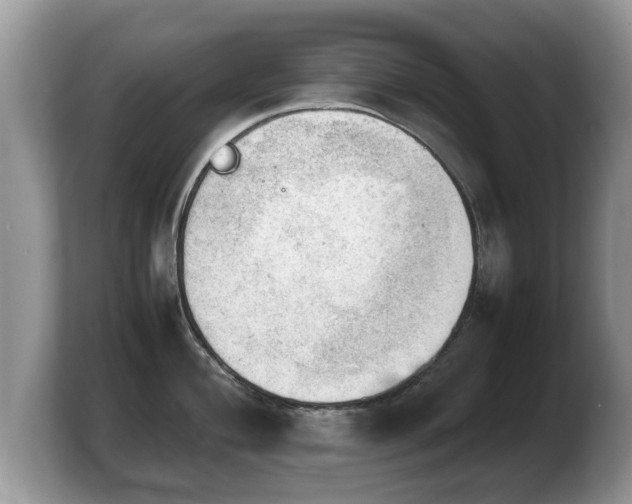 X0000103901004200809261546