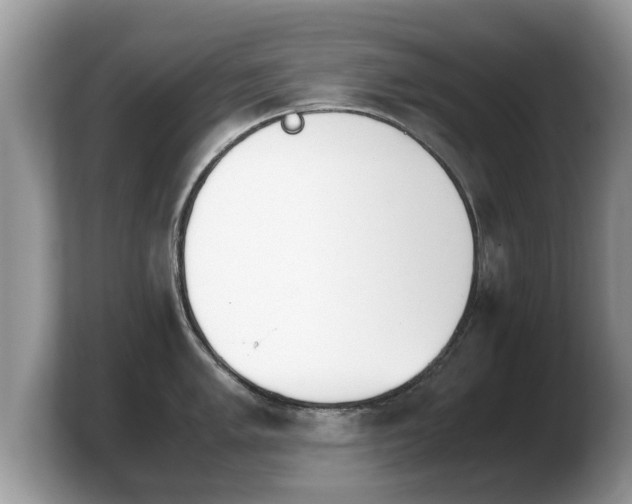 X0000103901005200809261546